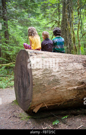 Kinder sitzen zusammen auf großen Baumstamm, Rückansicht Stockfoto