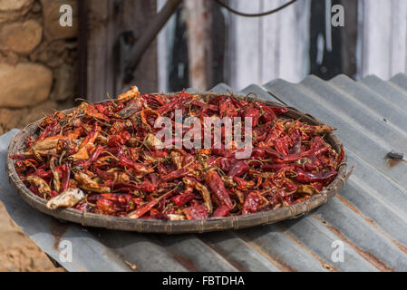 Scharfe rote Chilischoten trocknen in der Sonne auf einem Dach in der ruhigen und charmanten Dorf von Sangti, Arunachal Pradesh, Indien. Stockfoto