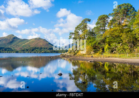 Derwent Wasser in der Nähe von Mönchen Crag im Lake District National Park in der Nähe von Keswick Cumbria England GB UK EU Europa Stockfoto