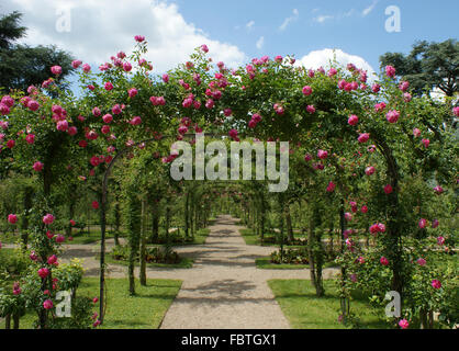 Pergola in einem französischen Garten Stockfoto