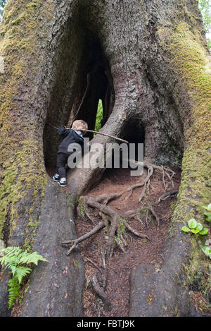 Kind hohlen Sitka Fichtendecke Stamm erkunden Stockfoto