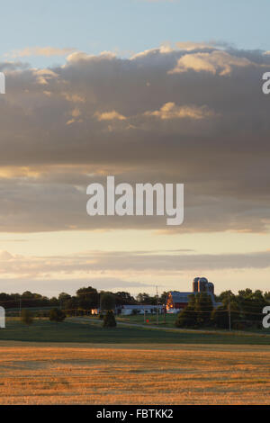 Das frühe Morgenlicht lässt dieses Feld frisch geerntete Winterweizen golden gelb.  Im Hintergrund auf einem Bauernhof mit einem b Stockfoto