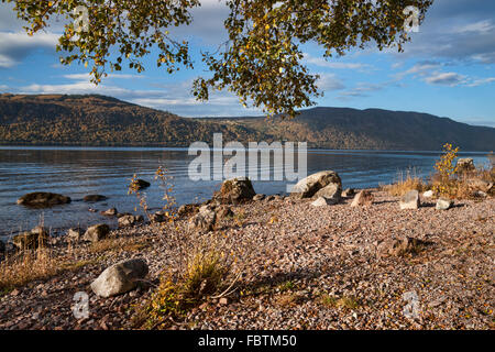 Herbst am Loch Ness, in der Nähe von Eve, Highland, Schottland, Vereinigtes Königreich Stockfoto