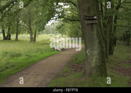 Naturschutzgebiet Wahner Heide Stockfoto