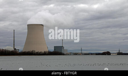 Enten und Atomkraftwerk ÖHU Stockfoto