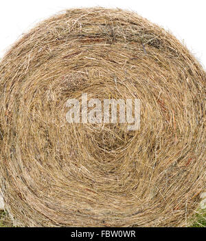 Ballen Heu Ausschnitt Stockfoto