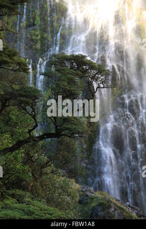 Punchbowl Falls, Arthurs Pass, Neuseeland Stockfoto