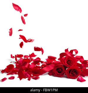 Rote Rosen und Rosenblätter auf weißem Hintergrund, Valentinstag-Konzept. Stockfoto