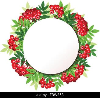 Vektor-Hintergrund mit Rowan Zweigen. Stock Vektor