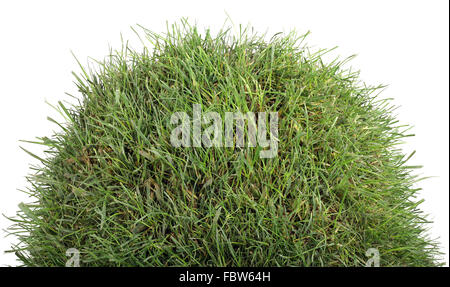 Grasbewachsenen Hügel der Tumulus Stockfoto