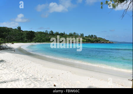 Sonnigen Strand Anse Cocos Seychellen Stockfoto