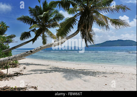 Strand der Träume-Seychellen Stockfoto