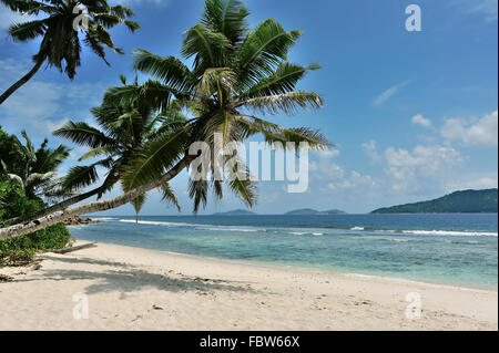 Strand Anse Fourmis, la Digue Stockfoto