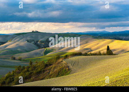 Fantastische sonnige Herbst-Feld in Italien, Toskana-Landschaft. Stockfoto