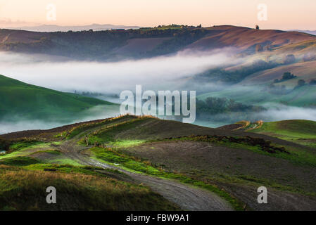 Bäume und Obstgärten auf den italienischen Feldern. Toskana Herbst Tag. Stockfoto