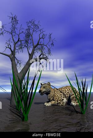 Panther Stockfoto