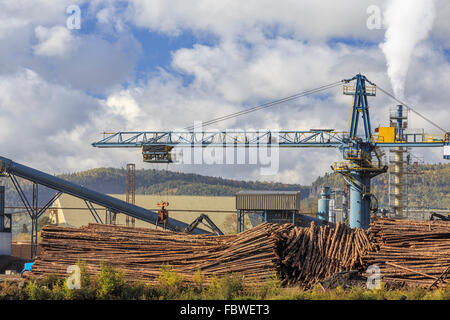 Zellstoff- und Papierfabrik, Thunder Bay, Ontario, Kanada. Stockfoto