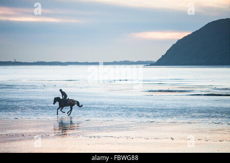 Ferryside Strand, Carmarthenshire, Wales, UK. 19. Januar 2016. Nach tagelangem Regen an einem klaren sonnigen Tag bei Sonnenuntergang/Sonnenuntergang. Obwohl bitterkalt galoppiert ein Jockey sein Pferd am leeren Strand von Ferryside,Carmarthenshire,Wales,U.K Credit: Paul Quayle/Alamy Live News Stockfoto