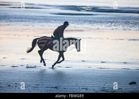 Ferryside Strand, Carmarthenshire, Wales, UK. 19. Januar 2016. Nach tagelangem Regen an einem klaren sonnigen Tag bei Sonnenuntergang/Sonnenuntergang. Obwohl bitterkalt galoppiert ein Jockey sein Pferd am leeren Strand von Ferryside,Carmarthenshire,Wales,U.K Credit: Paul Quayle/Alamy Live News Stockfoto