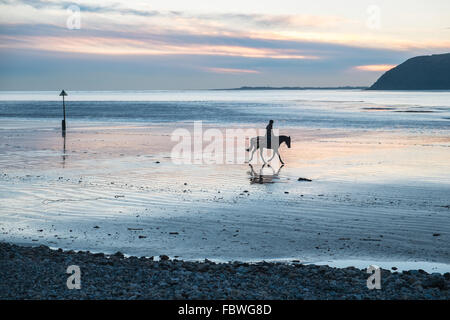 Ferryside Strand, Carmarthenshire, Wales, UK. 19. Januar 2016. Nach tagelangem Regen an einem klaren sonnigen Tag bei Sonnenuntergang/Sonnenuntergang. Obwohl bitterkalt galoppiert ein Jockey sein Pferd am leeren Strand von Ferryside,Carmarthenshire,Wales,U.K Credit: Paul Quayle/Alamy Live News Stockfoto