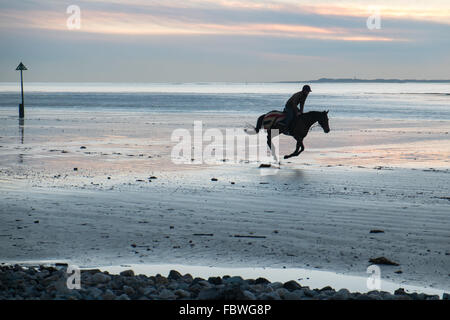 Ferryside Strand, Carmarthenshire, Wales, UK. 19. Januar 2016. Nach tagelangem Regen an einem klaren sonnigen Tag bei Sonnenuntergang/Sonnenuntergang. Obwohl bitterkalt galoppiert ein Jockey sein Pferd am leeren Strand von Ferryside,Carmarthenshire,Wales,U.K Credit: Paul Quayle/Alamy Live News Stockfoto
