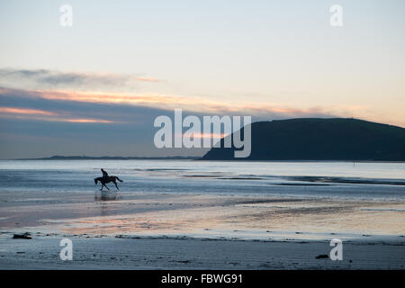 Ferryside Strand, Carmarthenshire, Wales, UK. 19. Januar 2016. Nach tagelangem Regen an einem klaren sonnigen Tag bei Sonnenuntergang/Sonnenuntergang. Obwohl bitterkalt galoppiert ein Jockey sein Pferd am leeren Strand von Ferryside,Carmarthenshire,Wales,U.K Credit: Paul Quayle/Alamy Live News Stockfoto