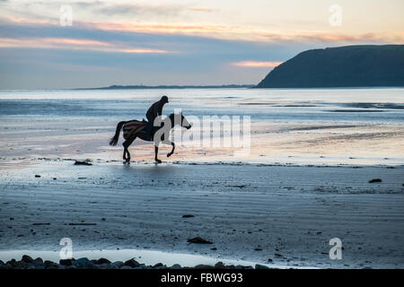 Ferryside Strand, Carmarthenshire, Wales, UK. 19. Januar 2016. Nach tagelangem Regen an einem klaren sonnigen Tag bei Sonnenuntergang/Sonnenuntergang. Obwohl bitterkalt galoppiert ein Jockey sein Pferd am leeren Strand von Ferryside,Carmarthenshire,Wales,U.K Credit: Paul Quayle/Alamy Live News Stockfoto
