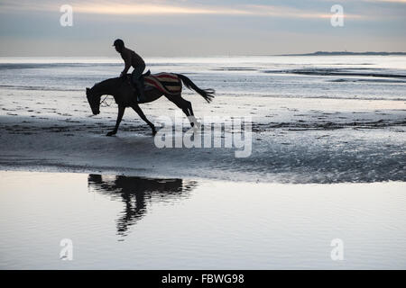 Ferryside Strand, Carmarthenshire, Wales, UK. 19. Januar 2016. Nach tagelangem Regen an einem klaren sonnigen Tag bei Sonnenuntergang/Sonnenuntergang. Obwohl bitterkalt galoppiert ein Jockey sein Pferd am leeren Strand von Ferryside,Carmarthenshire,Wales,U.K Credit: Paul Quayle/Alamy Live News Stockfoto