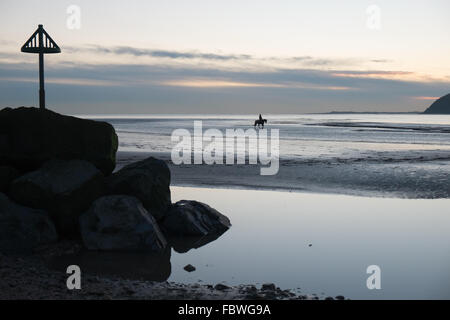 Ferryside Strand, Carmarthenshire, Wales, UK. 19. Januar 2016. Nach tagelangem Regen an einem klaren sonnigen Tag bei Sonnenuntergang/Sonnenuntergang. Obwohl bitterkalt galoppiert ein Jockey sein Pferd am leeren Strand von Ferryside,Carmarthenshire,Wales,U.K Credit: Paul Quayle/Alamy Live News Stockfoto