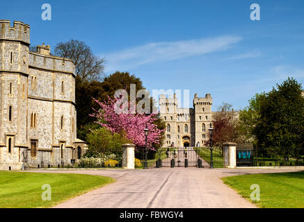 Windsor - der lange Weg im Frühjahr Stockfoto