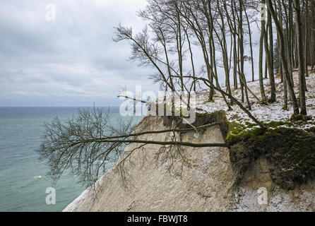 Rügen im Winter - Steilküste Stockfoto