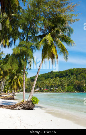 Strand auf der Insel Koh Kood, Thailand Stockfoto