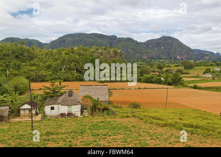 Bauernhof im Tal von Vinales Stockfoto