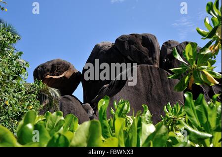 Küssende Felsen auf Source d' Argent Stockfoto