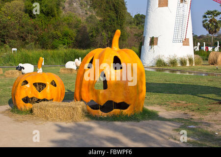 Halloween-Kürbis Stockfoto