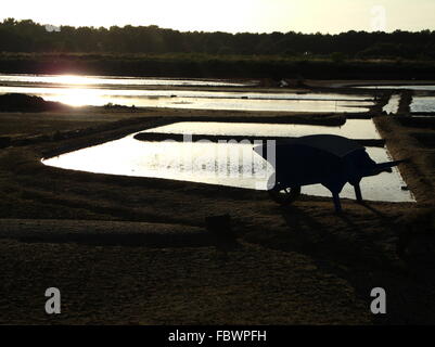 Abendstimmung in der Saline Stockfoto