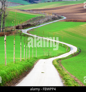 Tschechische Landschaft, Süd-Mähren. Stockfoto