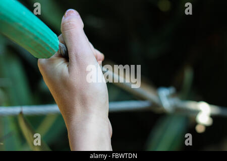 Hand, die auf einem Drahtseil Stockfoto