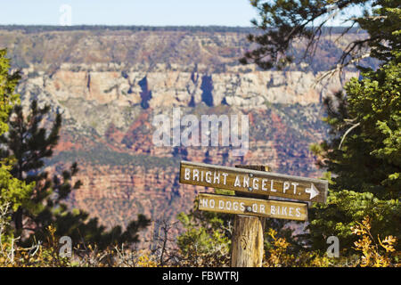 Bright Angel Point an der North Rim Stockfoto