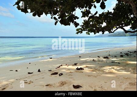 Strand Anse Forbans auf Mahé Stockfoto