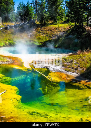 Seismograph Pool im Yellowstone Stockfoto