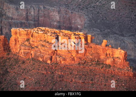 Grand Canyon 6 Stockfoto