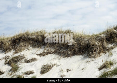 Dünen an der Ostsee 001 Stockfoto