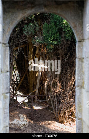 Altes Holzkreuz und Eibe auf dem Friedhof von Civaux. Stockfoto