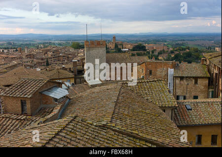 Siena, Toskana, Italien. Blick über Dächer aus Südost das Museo dell'Opera del Duomo. Stockfoto