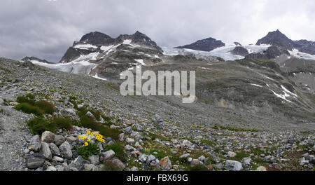 Silvretta-Hauptreihe Stockfoto