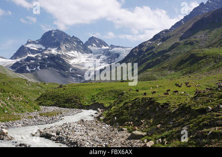 Piz Buin und den Ursprung der Ill Stockfoto