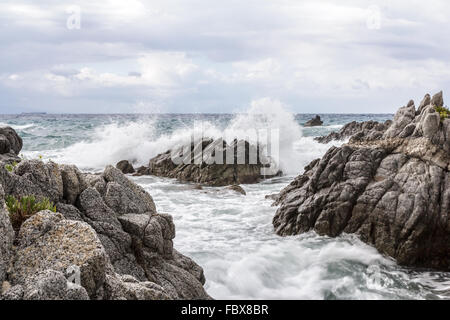 Klippen von Capo Vaticano Stockfoto