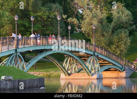 Brücke im Park Zarizyno Stockfoto