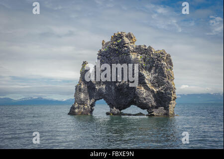 Hvítserkur, Felsformation im Hunafjordur Fjord, Island Stockfoto